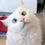 Борис Александров