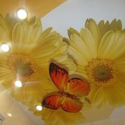 Авангард Натяжной Потолок